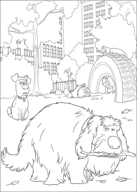 Раскраска: The Secret Life of Pets (Анимационные Фильмы) #206620 - Бесплатные раскраски для печати