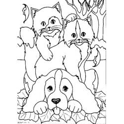 Раскраска: Собака и кошка (Животные) #211059 - Бесплатные раскраски для печати