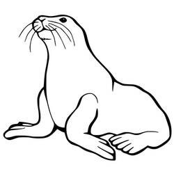 Раскраска: Морской лев (Животные) #192523 - Бесплатные раскраски для печати