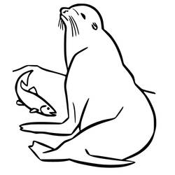Раскраска: Морской лев (Животные) #192528 - Бесплатные раскраски для печати