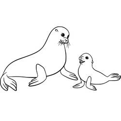 Раскраска: Морской лев (Животные) #192529 - Бесплатные раскраски для печати