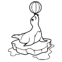 Раскраска: Морской лев (Животные) #192538 - Бесплатные раскраски для печати