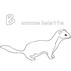 Раскраски: Ласка - Бесплатные раскраски для печати