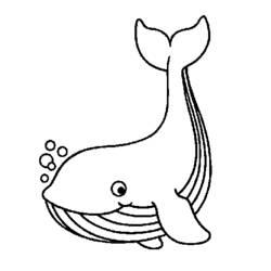 Раскраски: Кит - Бесплатные раскраски для печати