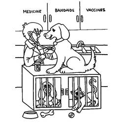 Раскраска: Ветеринар (Карьера и Профессии) #213816 - Бесплатные раскраски для печати