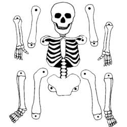 Раскраска: Скелет (Персонажи) #147465 - Бесплатные раскраски для печати