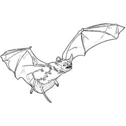 Раскраска: Вампир (Персонажи) #85965 - Бесплатные раскраски для печати