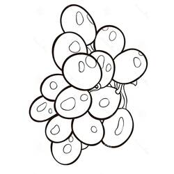 Раскраска: Виноград (Еда и Питание) #212396 - Бесплатные раскраски для печати