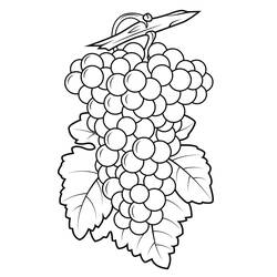 Раскраска: Виноград (Еда и Питание) #212398 - Бесплатные раскраски для печати