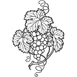 Раскраска: Виноград (Еда и Питание) #212406 - Бесплатные раскраски для печати