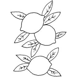 Раскраска: Лимон (Еда и Питание) #185016 - Бесплатные раскраски для печати