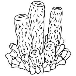 Раскраска: Коралл (Природа и Времена года) #162777 - Бесплатные раскраски для печати