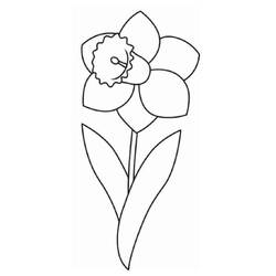 Раскраски: Нарцисс - Бесплатные раскраски для печати