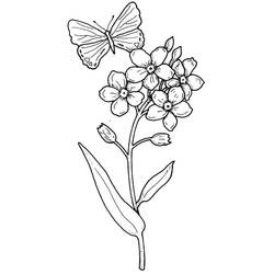 Раскраска: Цветок (Природа и Времена года) #170983 - Бесплатные раскраски для печати