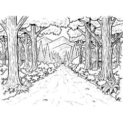 Раскраски: Лес - Бесплатные раскраски для печати