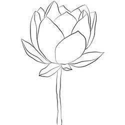 Раскраска: Лотос (Природа и Времена года) #182319 - Бесплатные раскраски для печати