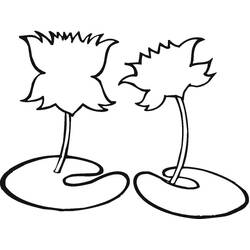 Раскраска: Лотос (Природа и Времена года) #182332 - Бесплатные раскраски для печати