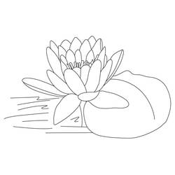 Раскраска: Лотос (Природа и Времена года) #182339 - Бесплатные раскраски для печати