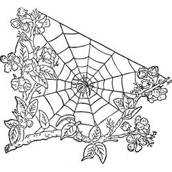 Раскраска: Паутина (Природа и Времена года) #204193 - Бесплатные раскраски для печати