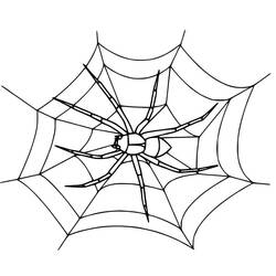 Раскраска: Паутина (Природа и Времена года) #204211 - Бесплатные раскраски для печати