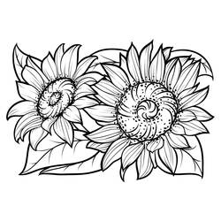 Раскраска: Подсолнух (Природа и Времена года) #171030 - Бесплатные раскраски для печати