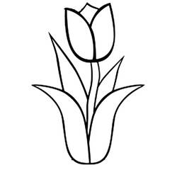 Раскраски: Тюльпан - Бесплатные раскраски для печати