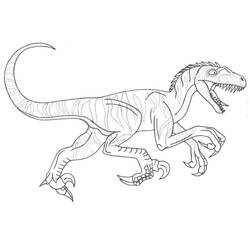Раскраска: Велоцираптор (Доисторические Животные) #214491 - Бесплатные раскраски для печати